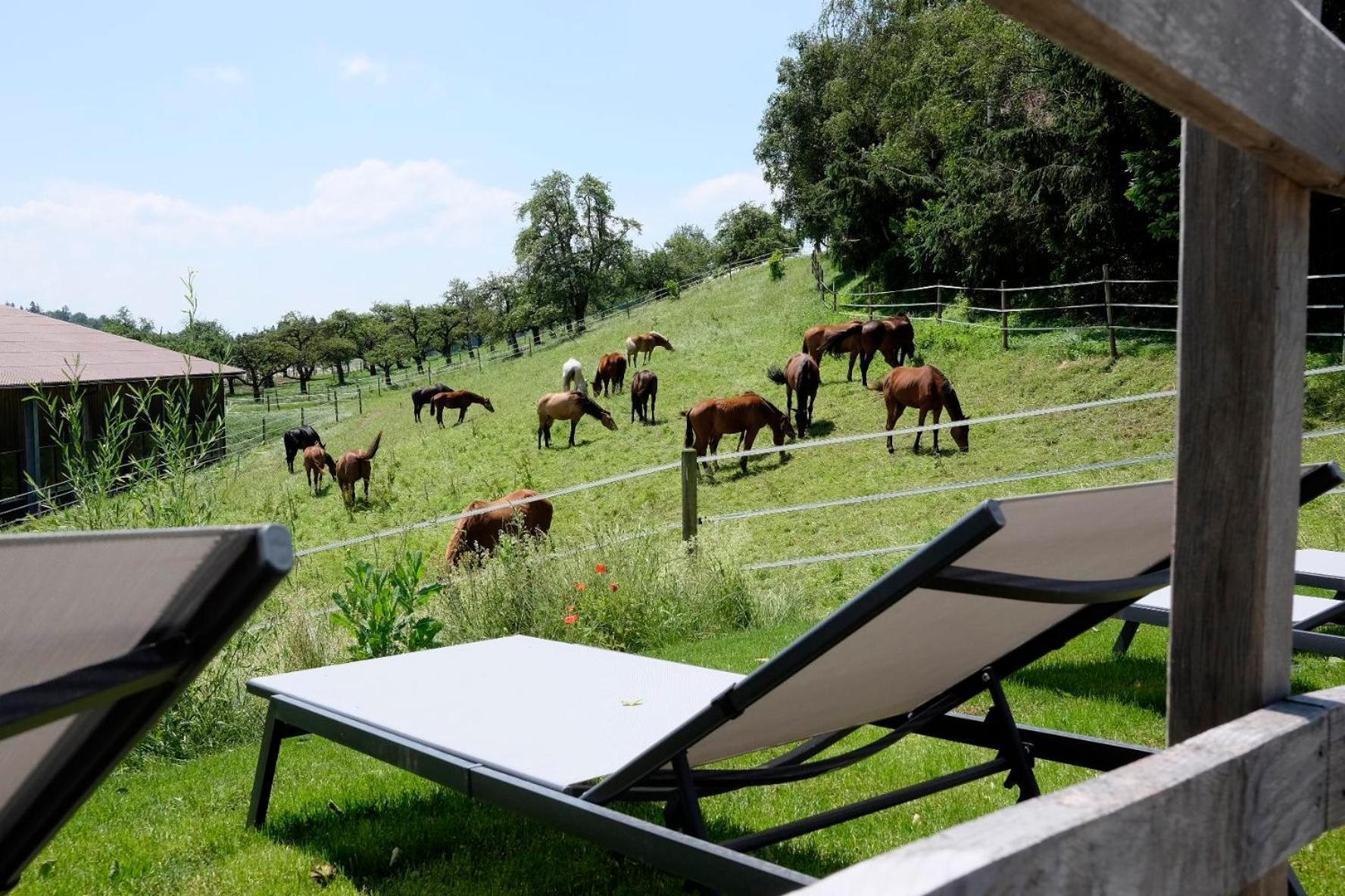 Trautesheim Ferienwohnungen Wangen im Allgaeu Bagian luar foto