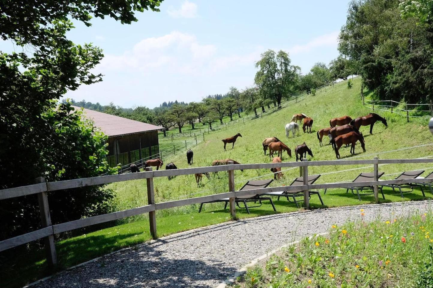 Trautesheim Ferienwohnungen Wangen im Allgaeu Bagian luar foto