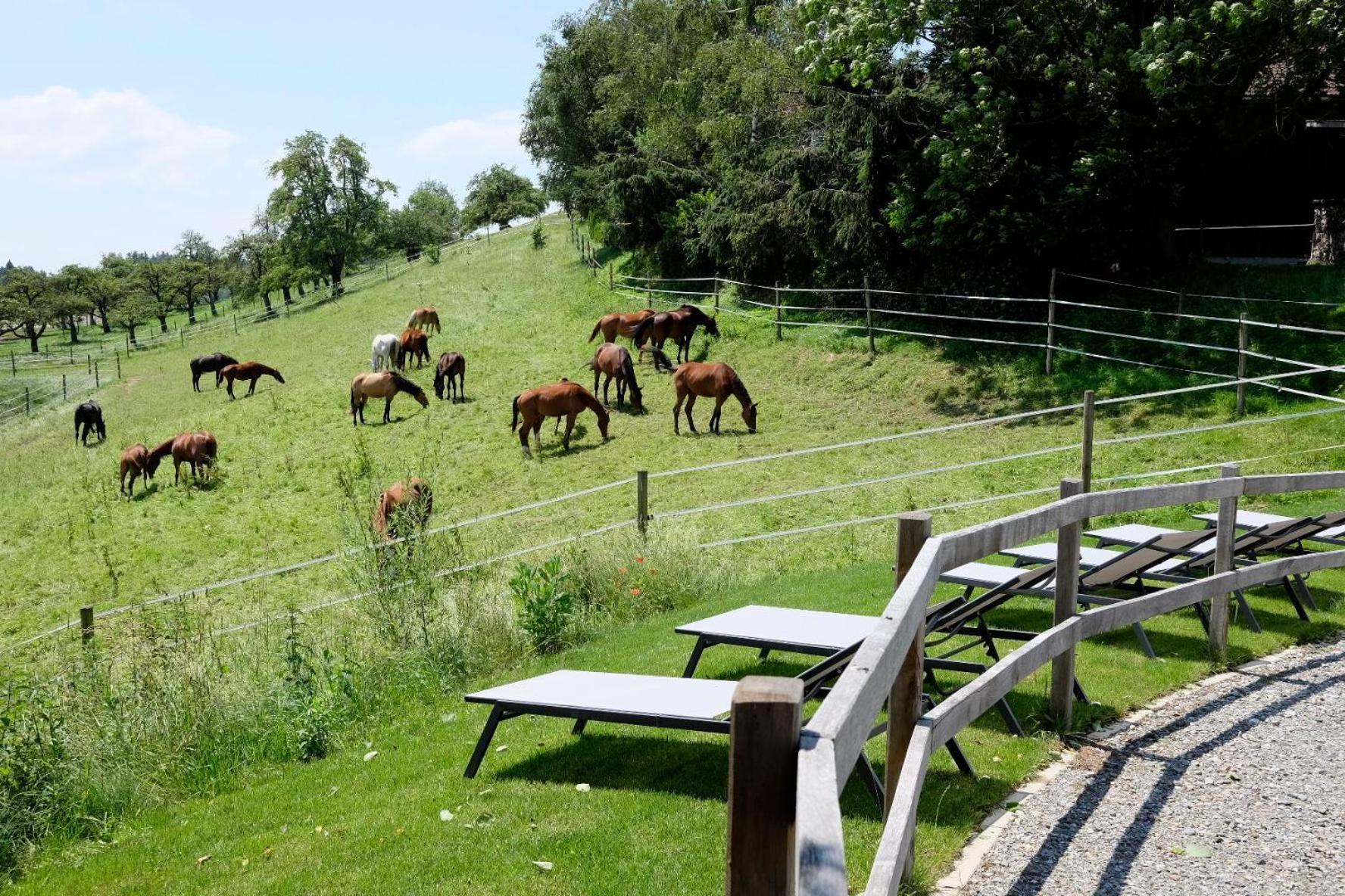 Trautesheim Ferienwohnungen Wangen im Allgaeu Bagian luar foto